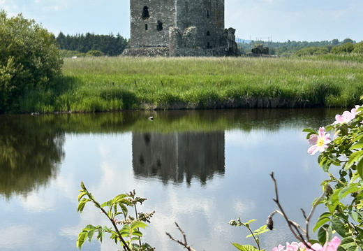 Threave Castle Past Boat Launch Trail End
