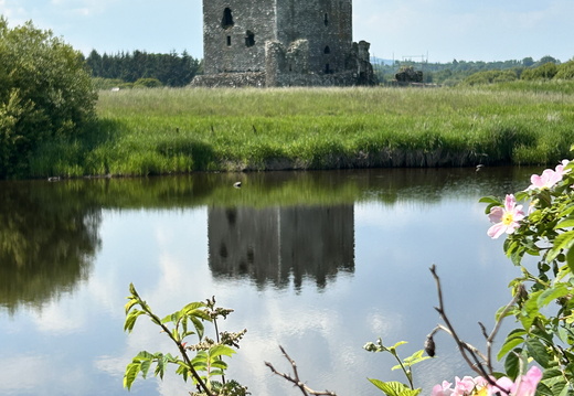 Threave Castle Past Boat Launch Trail End