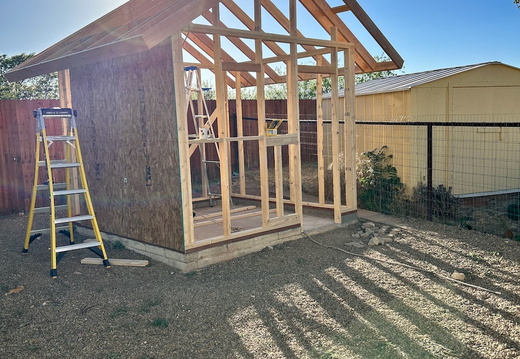The Dog House 10 x 10