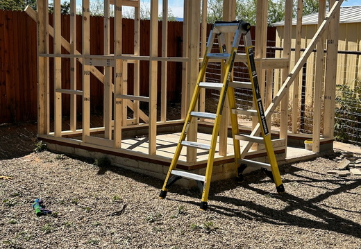 The Dog House 10 x 10