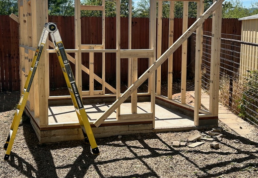 The Dog House 10 x 10