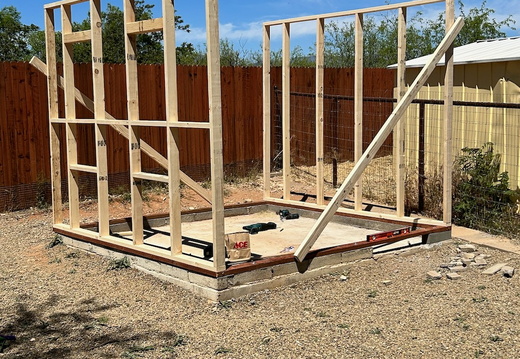 The Dog House 10 x 10