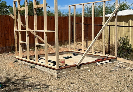 The Dog House 10 x 10
